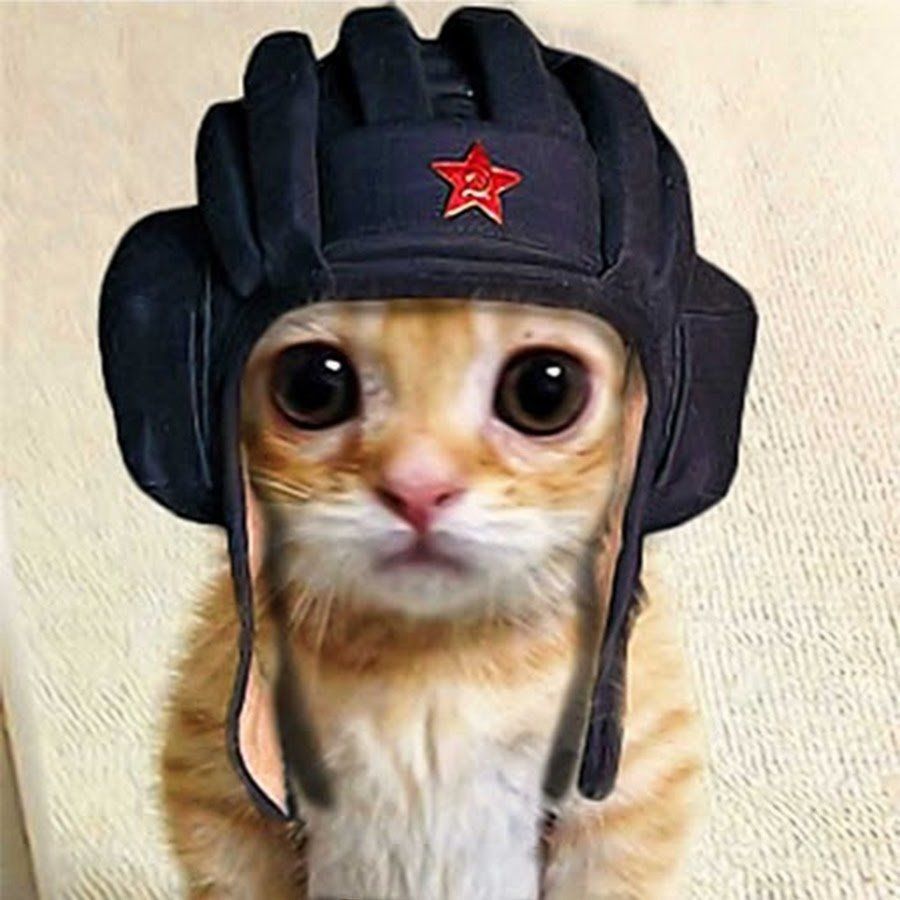 МУДРЫЙ НЕУД